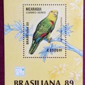 Aves - Nicaragua