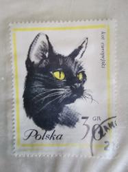Foto 1 Sello sin identificar: Kot europejski
