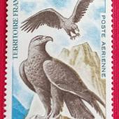 AVES - AFARS E ISSAS