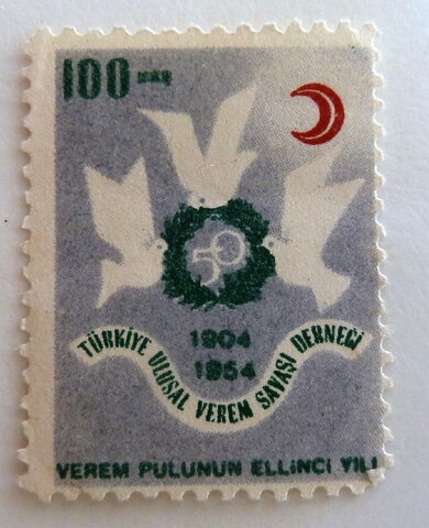 Foto del sello sin identificar: SELLO DE TURQUIA. BENEFICENCIA. NUEVO.