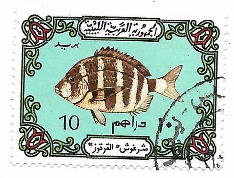Foto del sello sin identificar: JOSE MENDILUCE