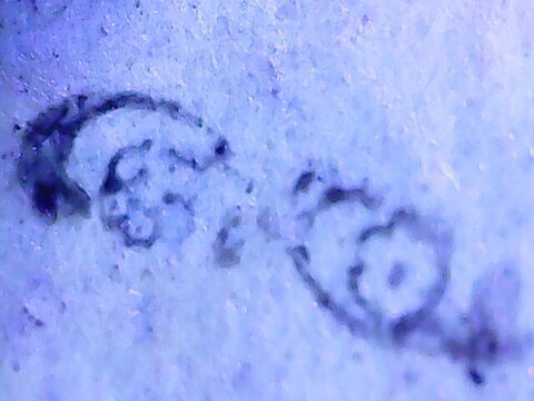 Segunda foto del sello sin identificar: Alfonso XII 4 pesetas de 1871