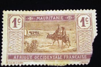 Africa