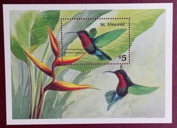 Aves - Colibri San Vicente 1989