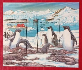 Aves - Chile - 1993.