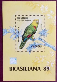 Aves - Nicaragua