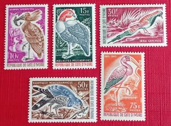 AVES - COSTA DE MARFIL