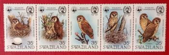 AVES - SWAZILANDIA