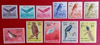 AVES - BIRMANIA