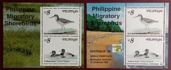 AVES - FILIPINAS