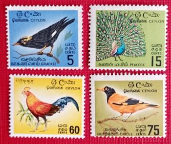 AVES - SRI LANKA