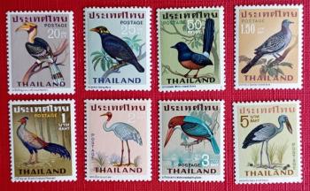 AVES - THAILANDIA