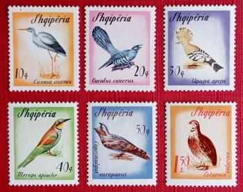 AVES - ALBANIA