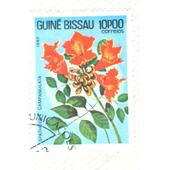 _Guinea Bissau 10p00 Spathodea Campanulata 1983