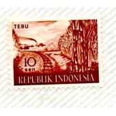 Indonesia 10 Tebu