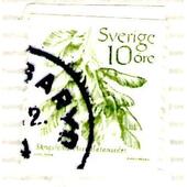 _Suecia 10 Planta